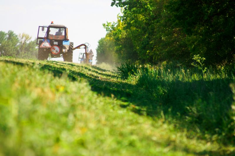 Site Clearing Service in Houston, TX